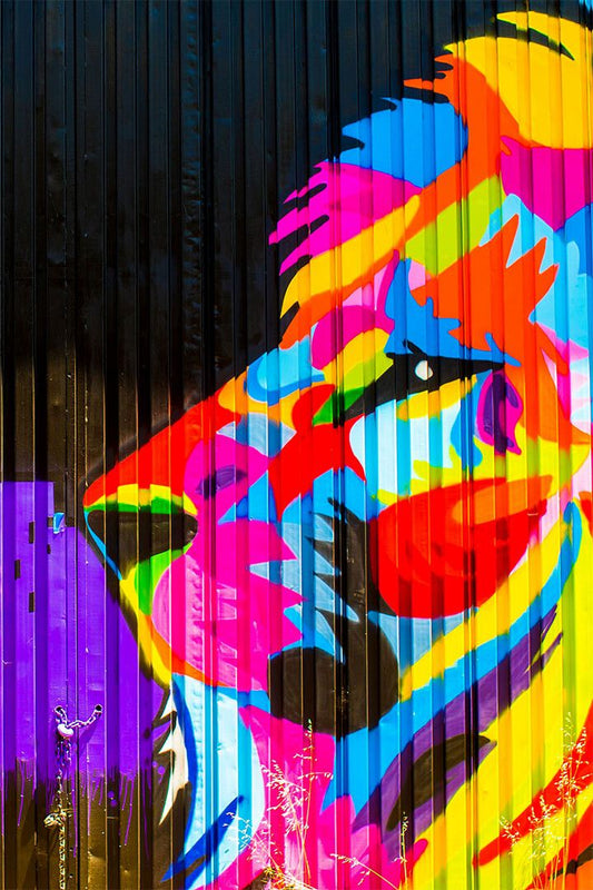 Modern Graffiti Street Animal Lion Colorful Print Jigsaw Puzzle