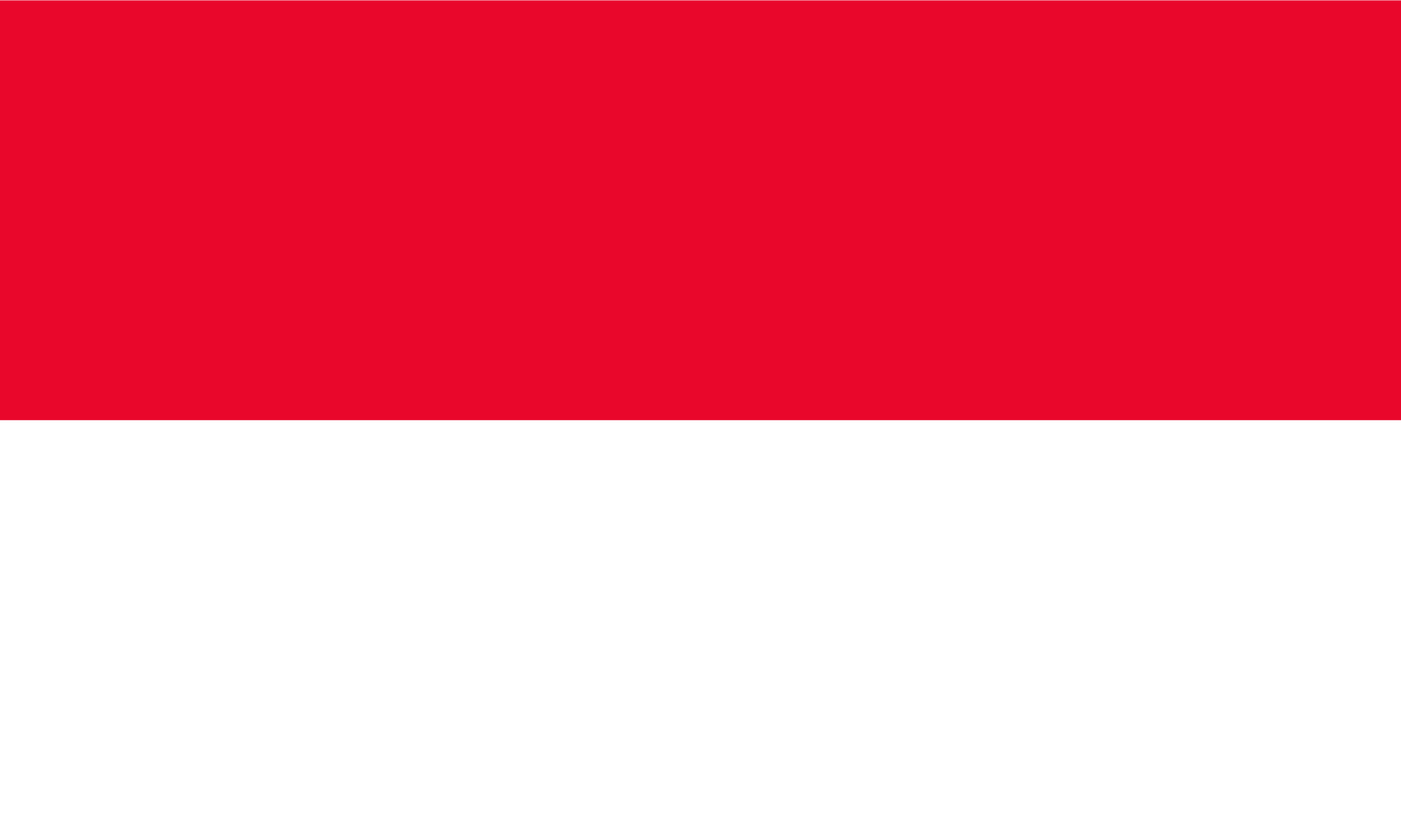 Monaco Flag Keychain
