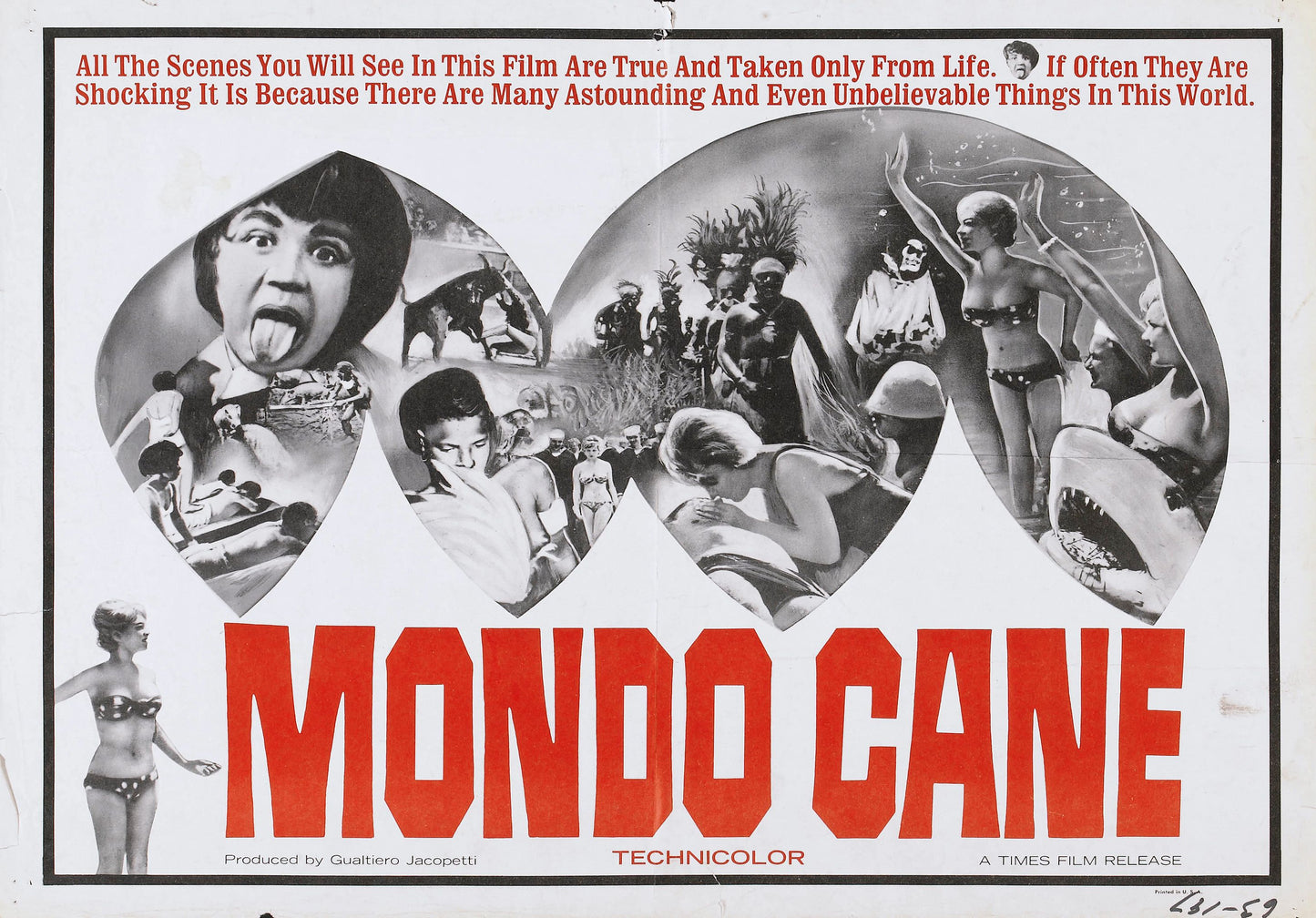 Mondo Cane 03 Movie Magnet