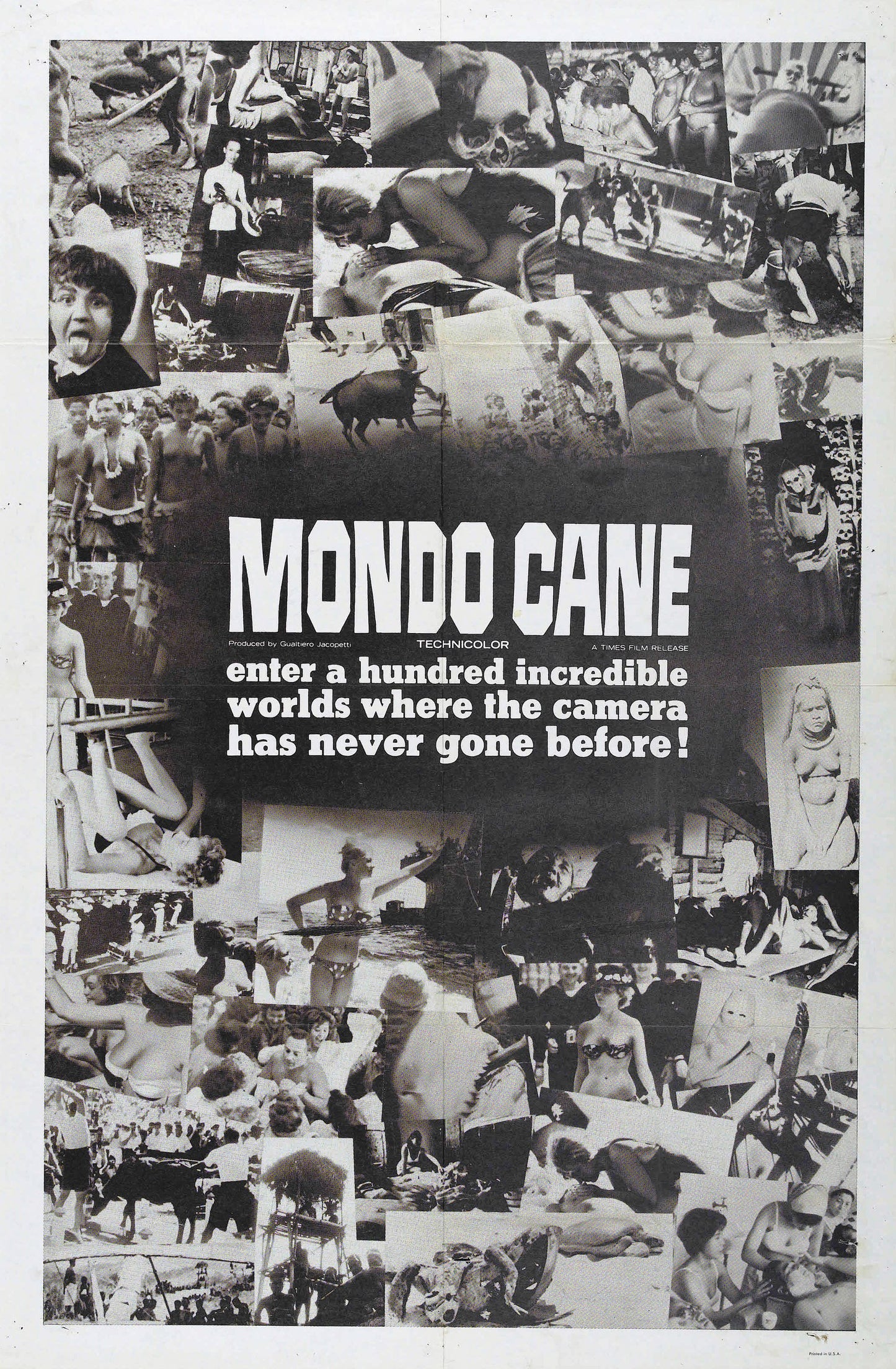 Mondo Cane 04 Movie Magnet