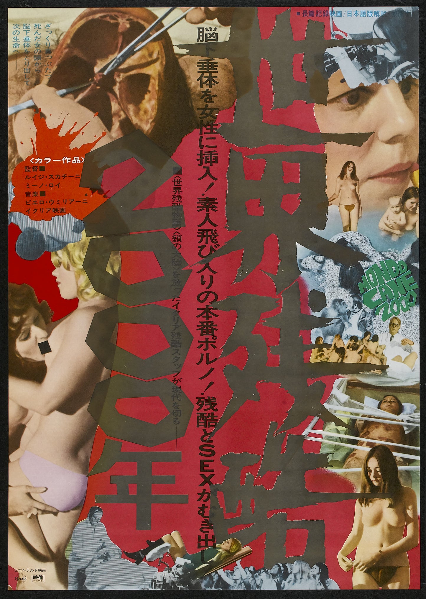 Mondo Cane 2000 01 Movie Magnet