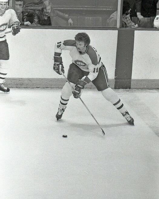 Montreal Canadiens Larry Robinson Glossy Magnet Magnet Hof 95