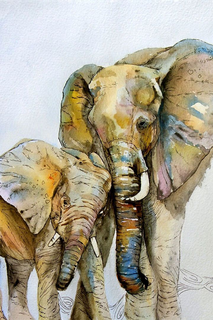 Mother Elephant And Baby Animal Illustration Jigsaw Puzzle