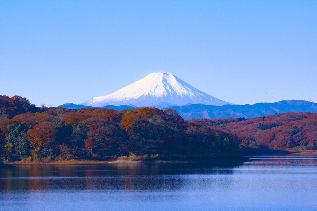 Mount Fuji Japan Art Wall Decor Jigsaw Puzzle