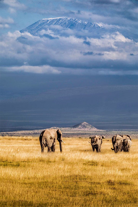 Mount Kilimanjaro From Kenya Famous Places Jigsaw Puzzle