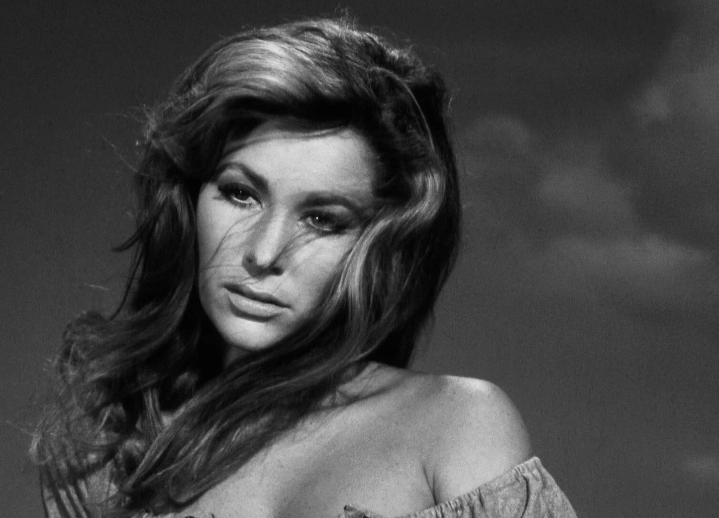 Movie Star Actress Michele Carey Publicity Photo Print 300 Piece Jigsaw Puzzle