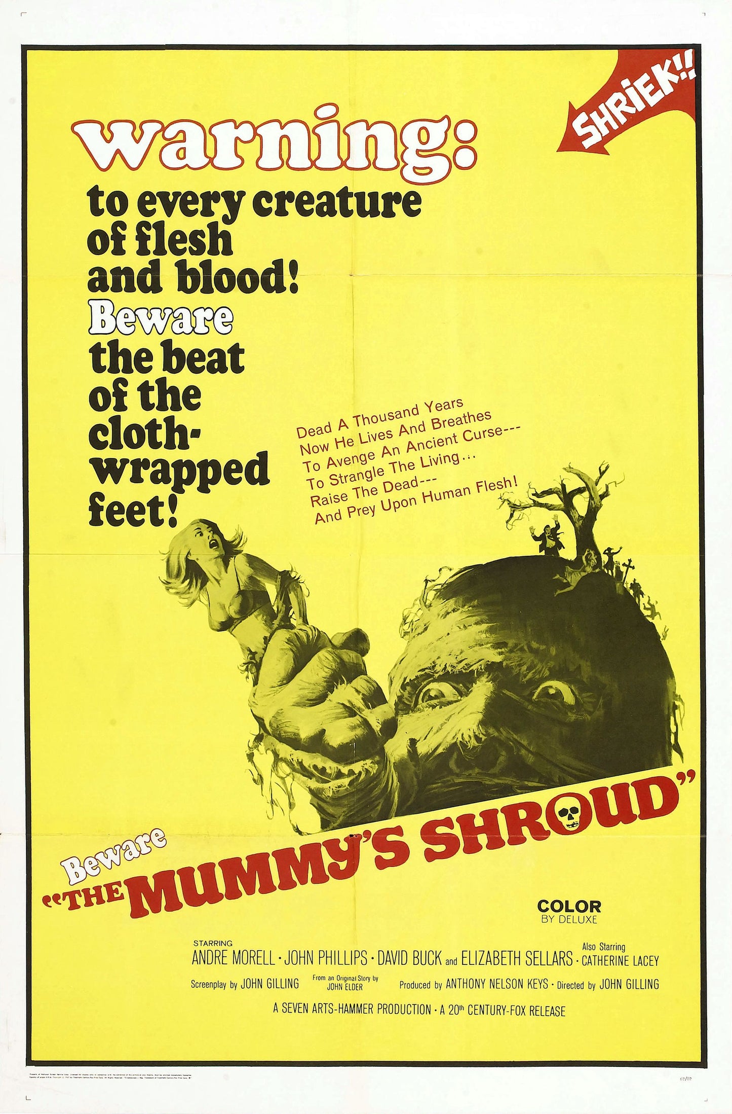 Mummys Shroud 01 Movie Magnet
