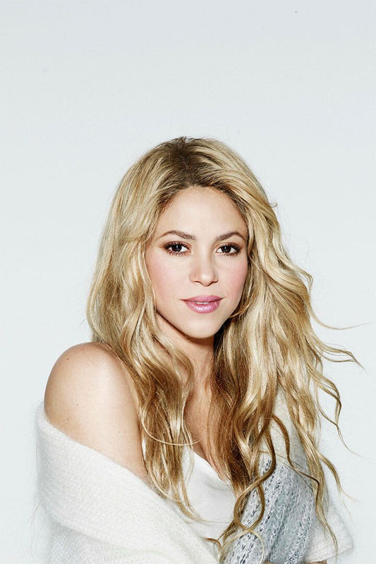 Music Shakira Laundry Service Music Album Artist Wall Home Decor Jigsaw Puzzle