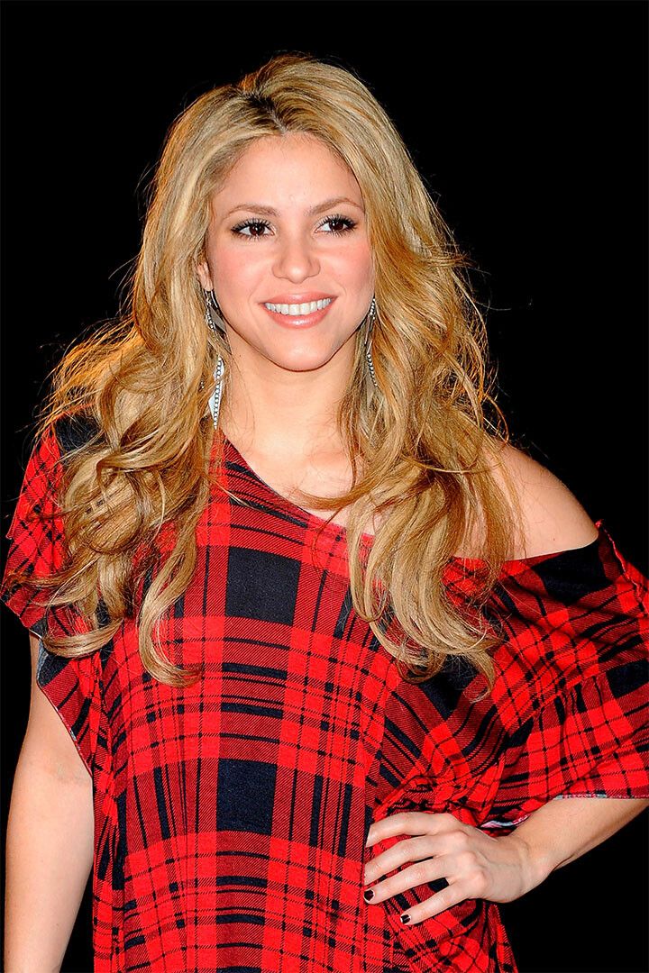 Music Shakira Laundry Service Music Album Print Wall Home Decor Jigsaw Puzzle