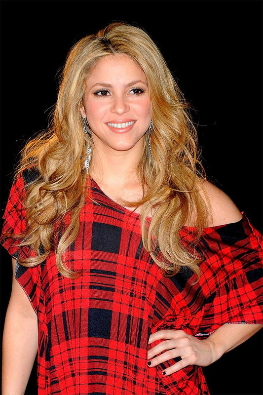 Music Shakira Laundry Service Music Album Print Wall Home Decor Jigsaw Puzzle