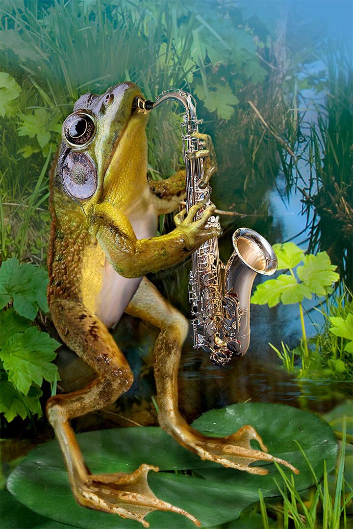 Musical Frog Fantasy Musical Painting Print Jigsaw Puzzle