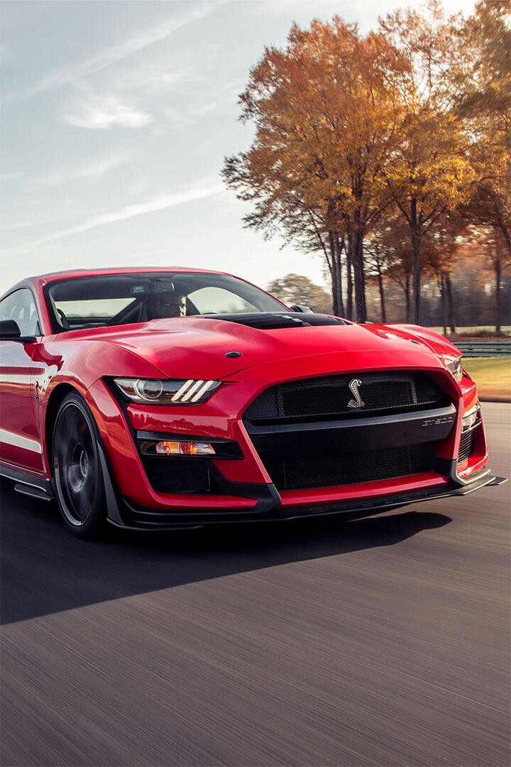 Mustang Gt500 Generations Inspired Land Vehicle Painting Jigsaw Puzzle