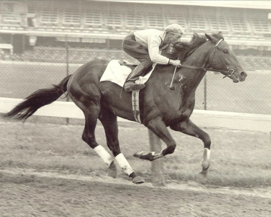 Nashua Photo Horse Racing Picture Eddie Arcaro