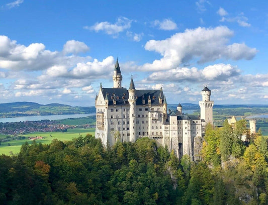Neuschwanstein Castle Fairy Tale Palace In Germany Picture Photo Poster 3