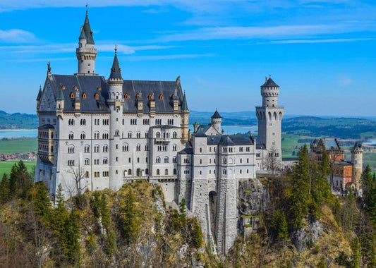 Neuschwanstein Castle Fairy Tale Palace In Germany Picture Magnet Magnet