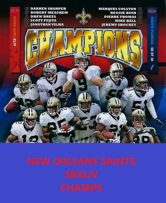 New Orleans Saints Sbxliv Champs Team Photo Football Picture Nfl Champions
