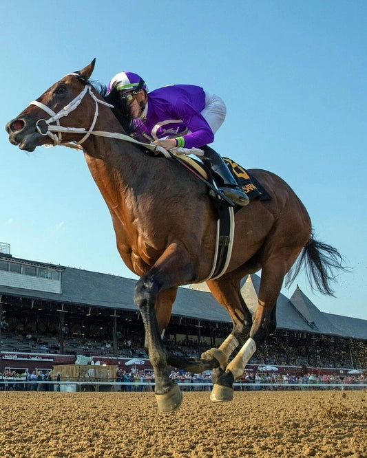 New York Thunder Photo Horse Racing Picture Close Action
