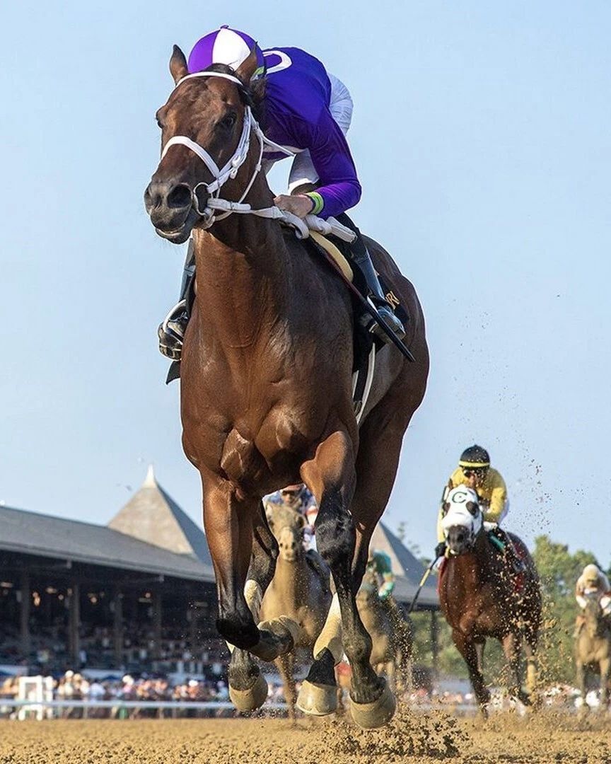 New York Thunder Photo Horse Racing Picture Race Action