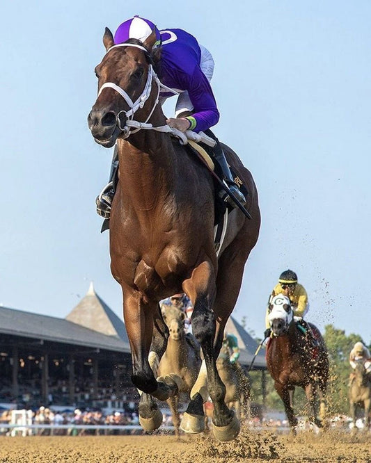 New York Thunder Photo Horse Racing Picture Race Action