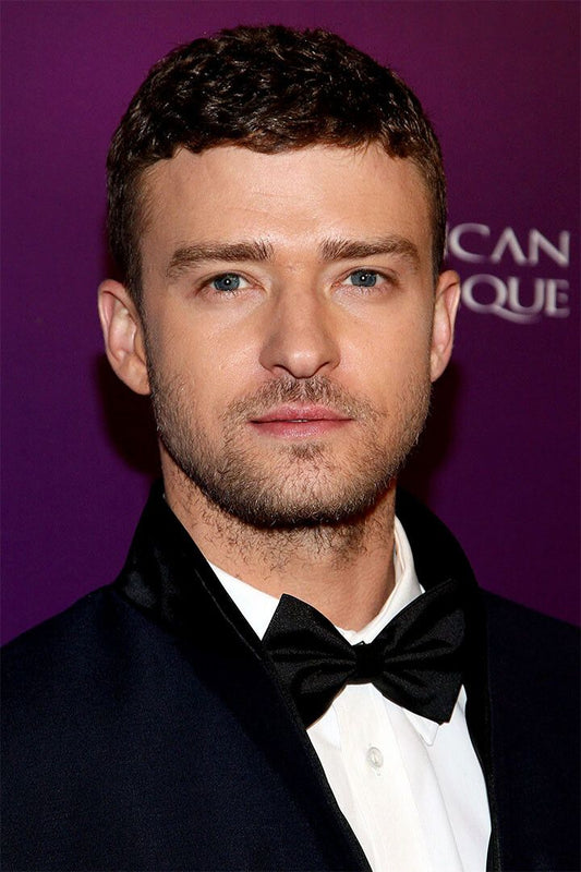 N Sync Justin Timberlake Musician Painting Jigsaw Puzzle