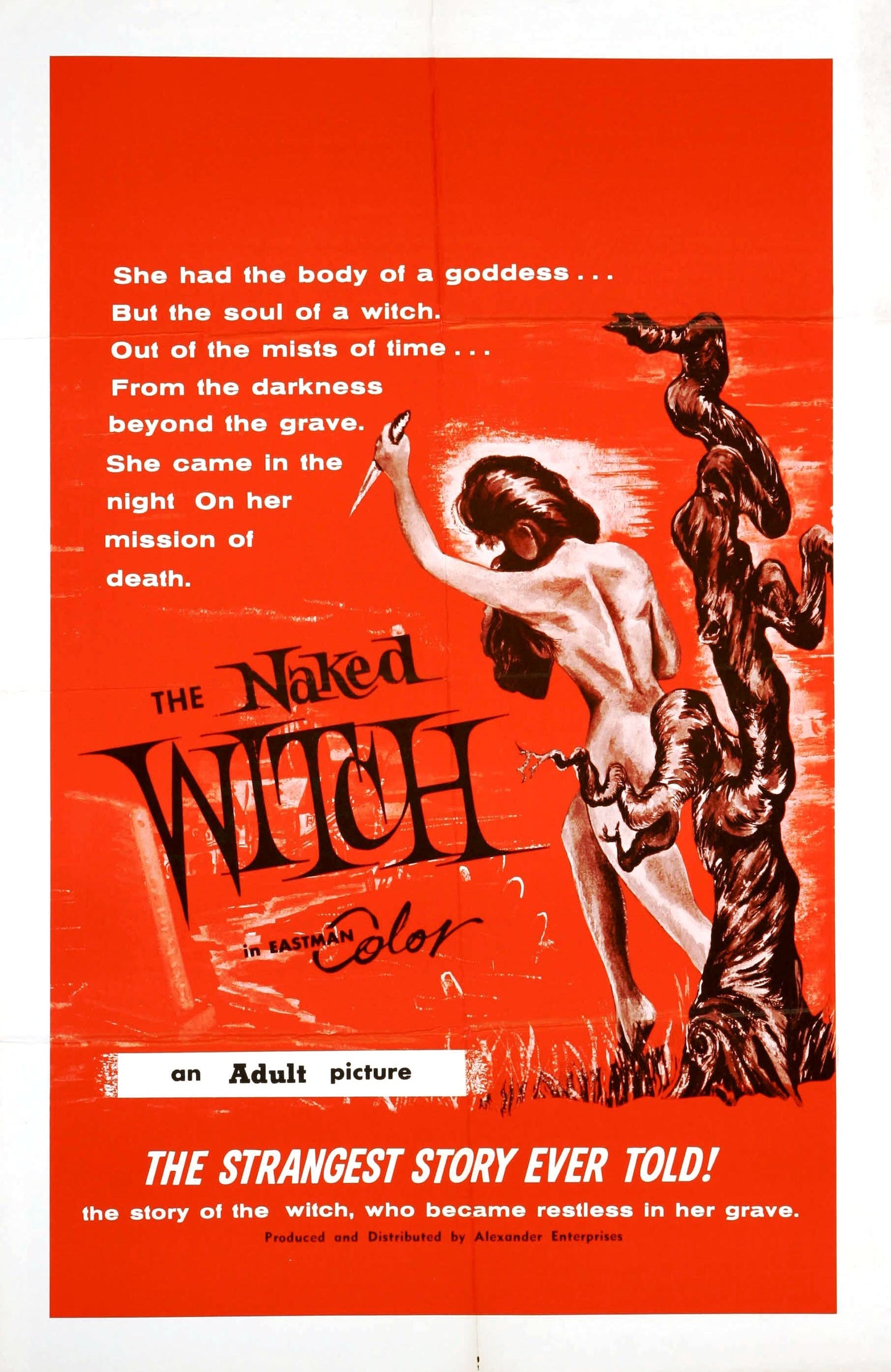 Naked Witch 1961 01 Movie Magnet