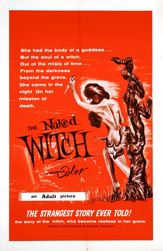 Naked Witch 1961 01 Movie Magnet