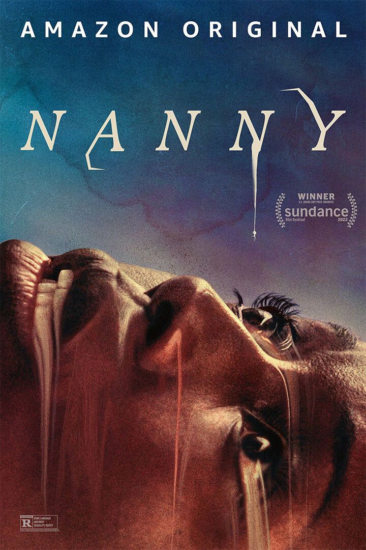Nanny American Psychological Horror Movie Jusu Diop Walls 2022 Jigsaw Puzzle