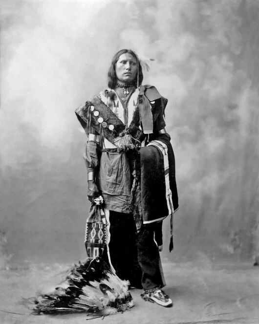 Native American Chief American Horse Glossy Photo Oglala Lakota Print Sioux 2