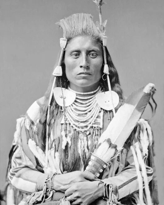 Native American Chief Medicine Crow Glossy Magnet Crow Nation Magnet