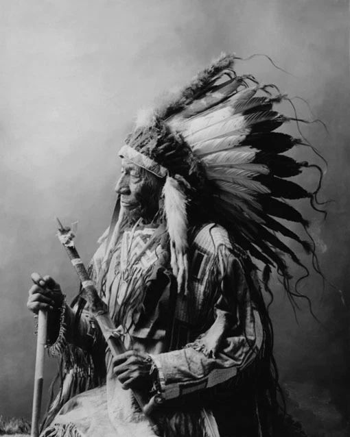 Native American Indian Chief Blue Horse Glossy Magnet Oglala Lakota Print