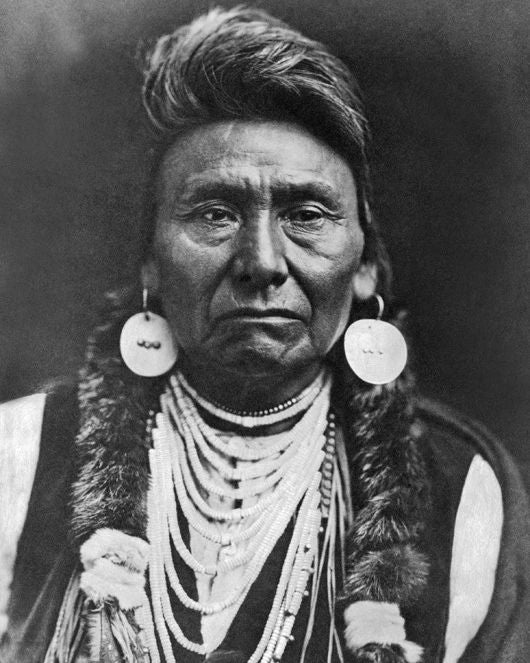 Native American Indian Chief Joseph Photo Nez Perce Tribe Print Poster 5