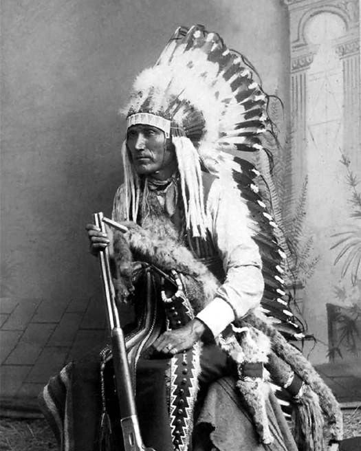 Native American Indian Chief Lone Wolf Glossy Magnet Kiowa Print Old West