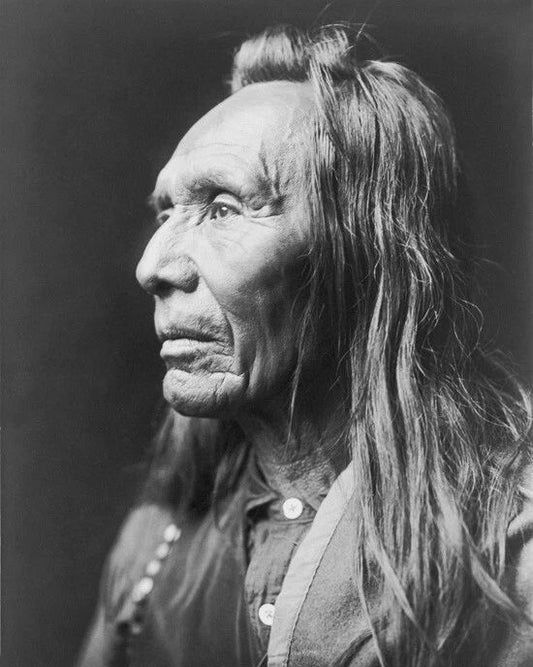Native American Indian Chief Three Eagles Magnet Nez Perce Magnet