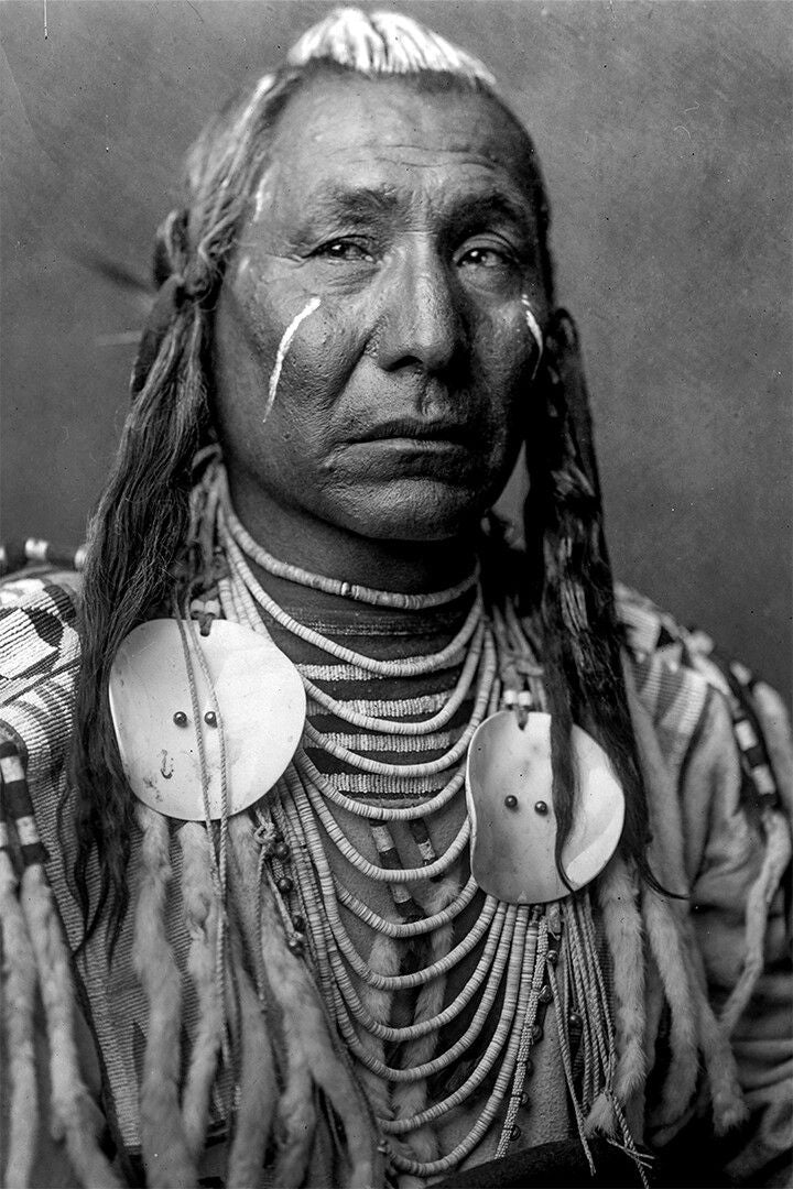 Native American Indian Person Print Jigsaw Puzzle