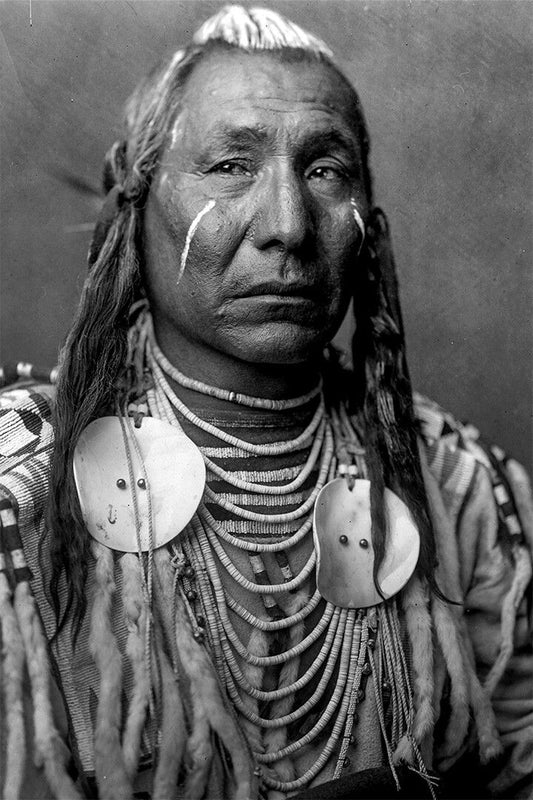 Native American Indian Person Print Jigsaw Puzzle