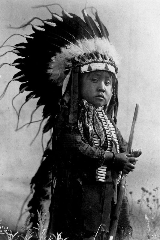 Native American Nouveau Print Jigsaw Puzzlegraph Jigsaw Puzzle