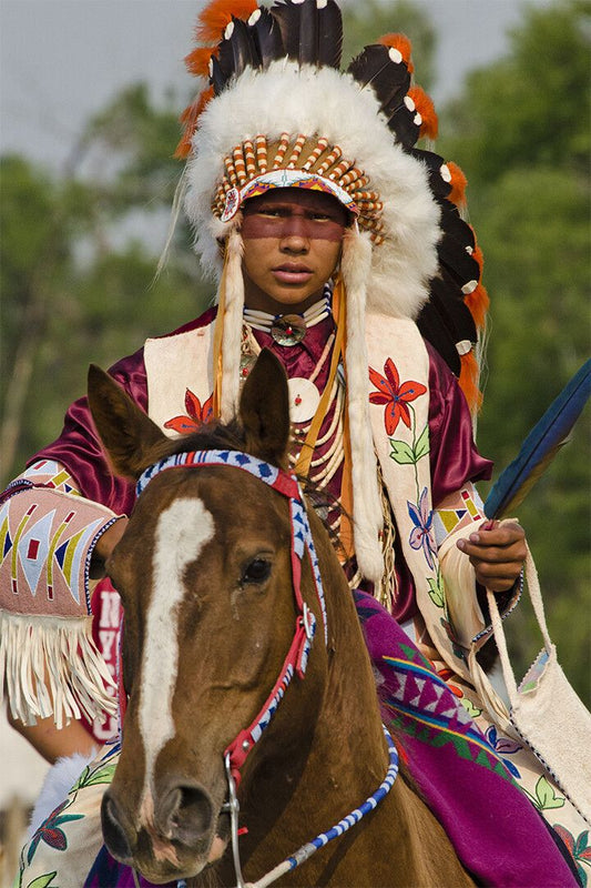 Native American Pride Indian Person Print Jigsaw Puzzle