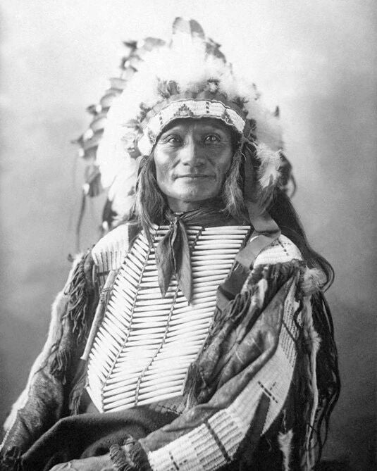 Native American Sioux Chief Goes To War Glossy Magnet Magnet