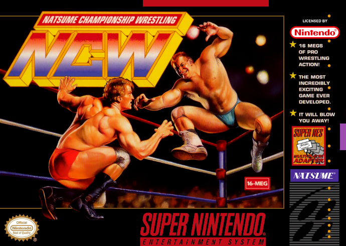 Natsume Championship Wrestling (Usa) Snes Print Poster