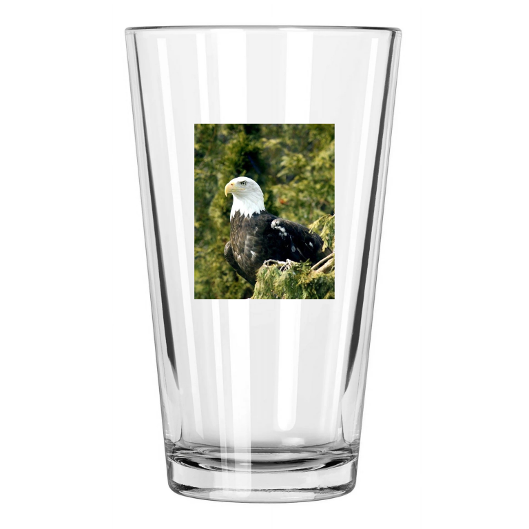 Nature Bald Eagle Photo Animal America Bird 1 Pint Beer Drinking Glass