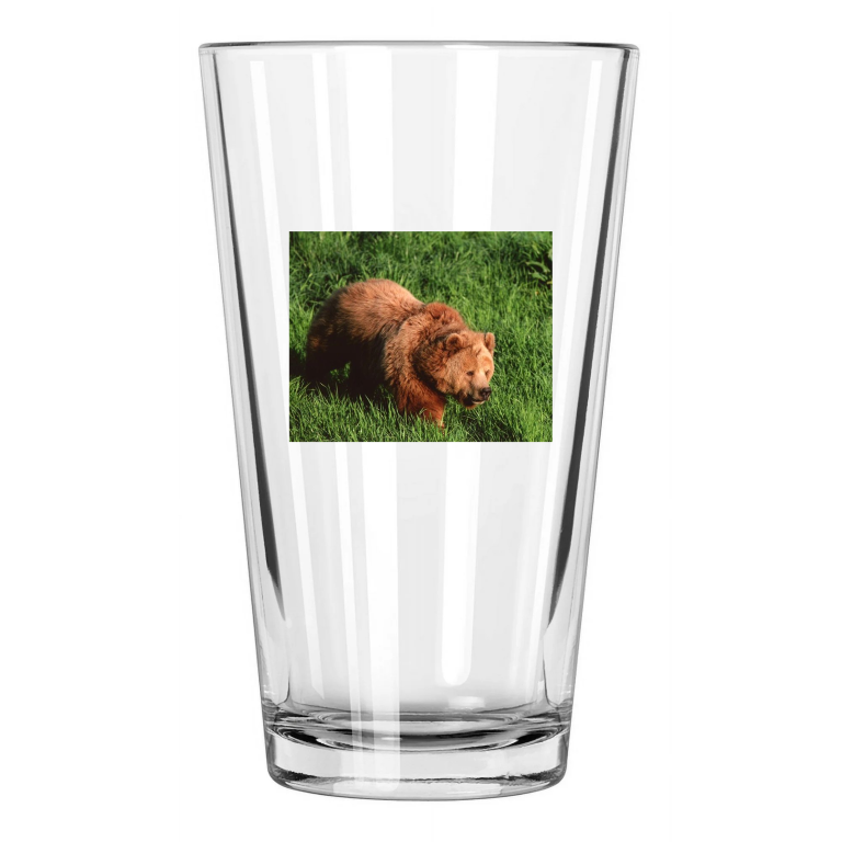 Nature Brown Grizzly Bear Photo Animal Wall Art Pint Beer Drinking Glass