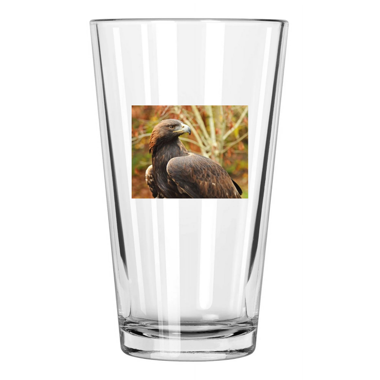 Nature Golden Eagle Photo Animal America Bird 1 Pint Beer Drinking Glass