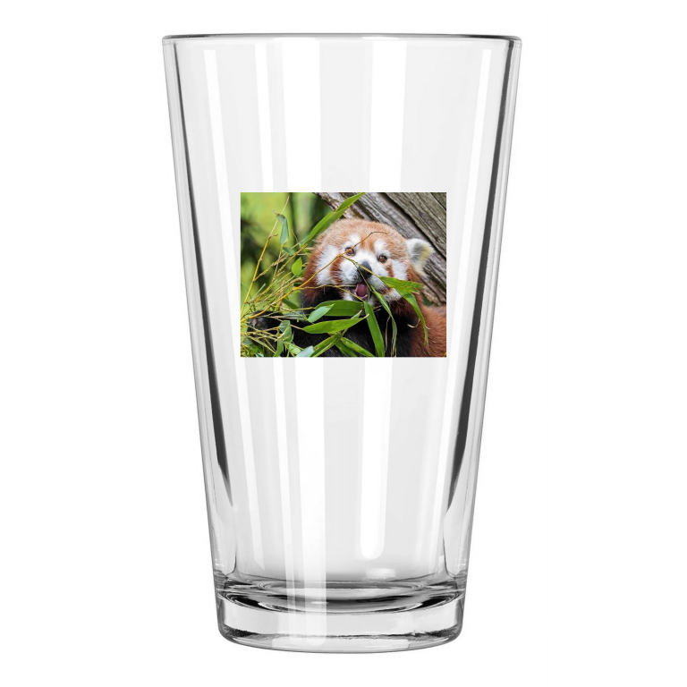 Nature Red Panda Bear Photo Close Up Wall Art Animals Pint Beer Drinking Glass