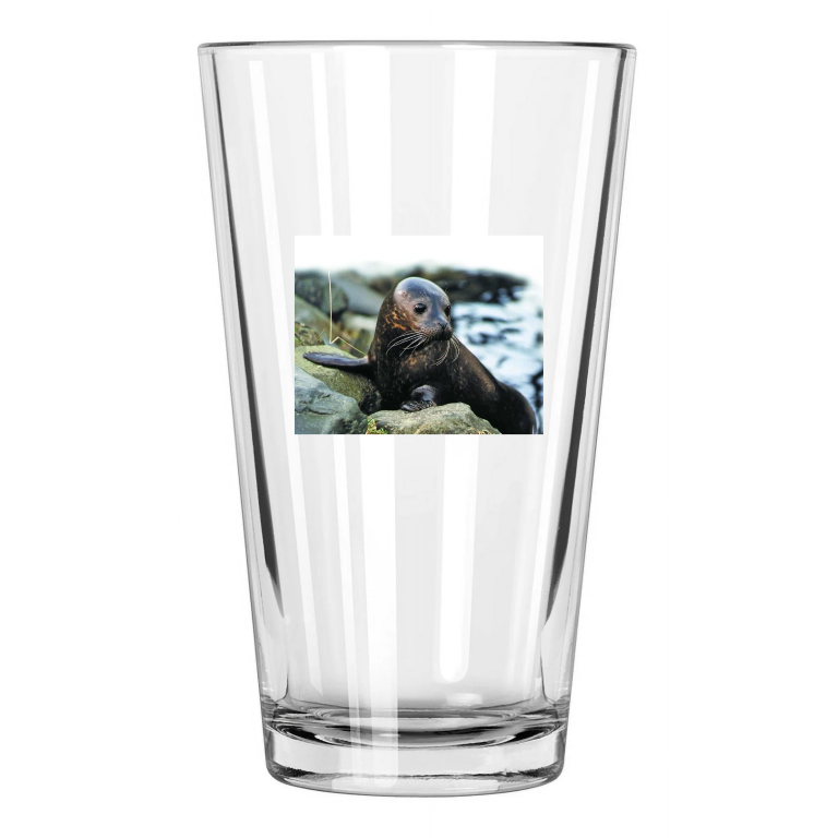 Nature Sea Lion Seal Photo Ocean Wall Art Animals Pint Beer Drinking Glass