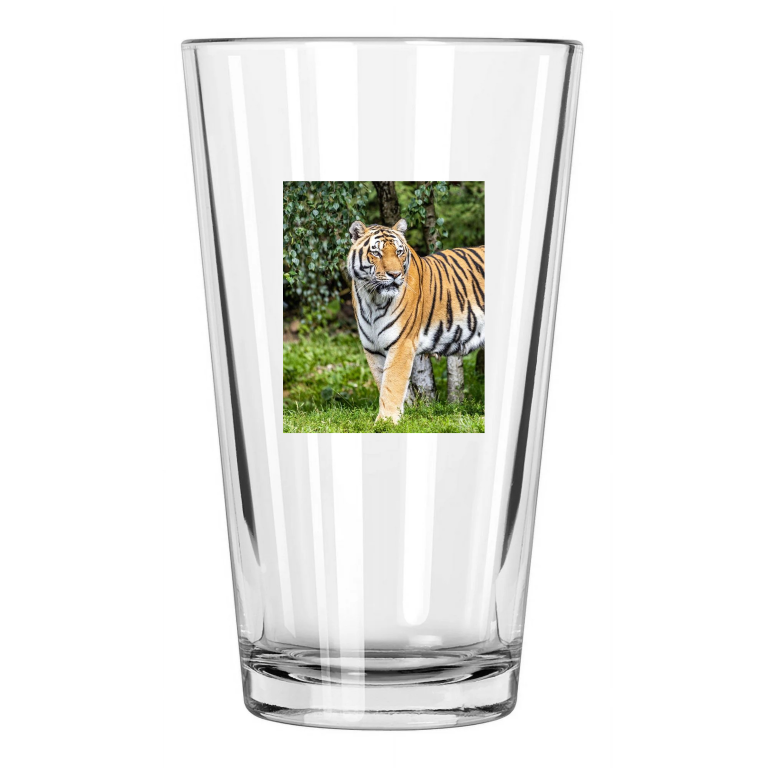 Nature Tiger Photo Animal Wall Art Big Cat Portrait Pint Beer Drinking Glass
