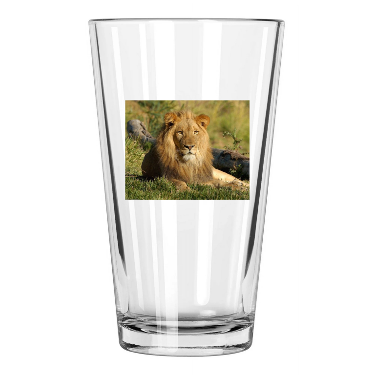 Nature Wild Lion Photo Animal Wall Art Big Cat Lions 2 Pint Beer Drinking Glass