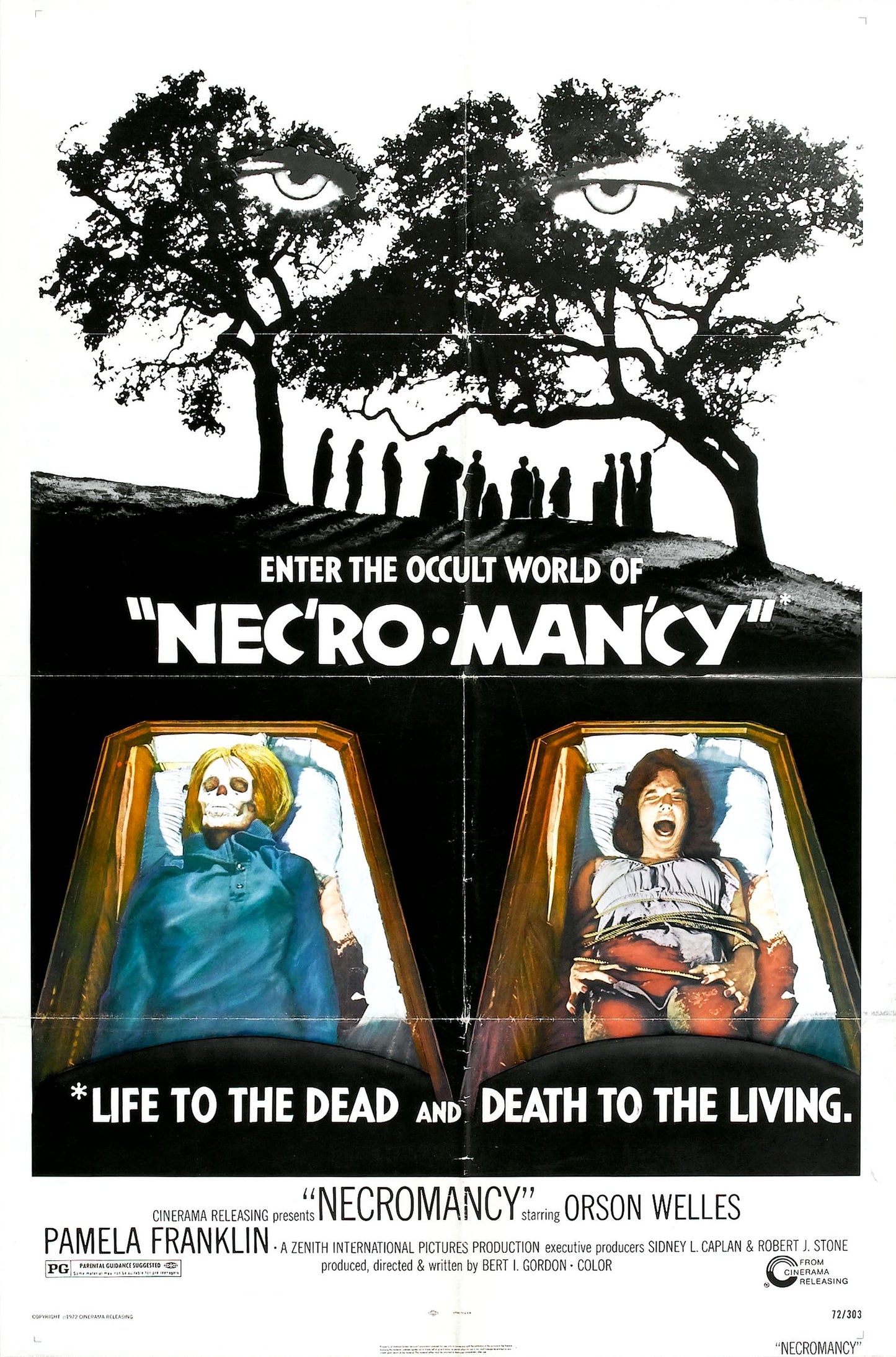 Necromancy 01 Movie Magnet