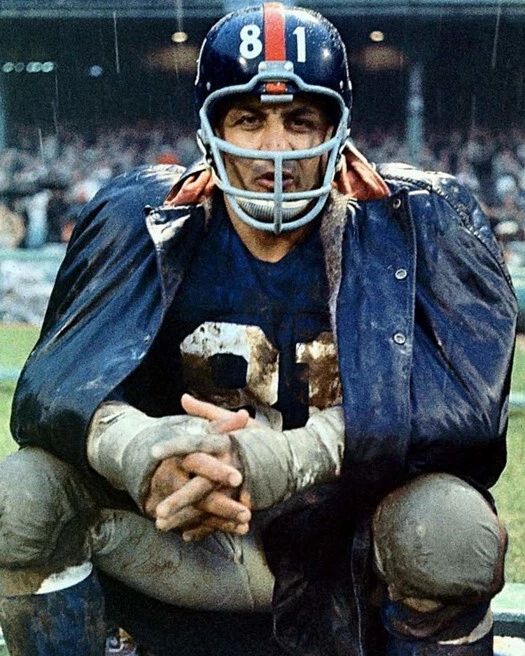 New York Giants Andy Robustelli Glossy Magnet Football Magnet Hof 71
