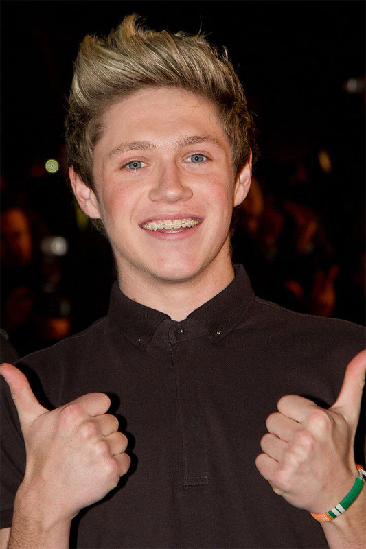 Niall Horan Celebrity Pop Musician Album Jigsaw Puzzle