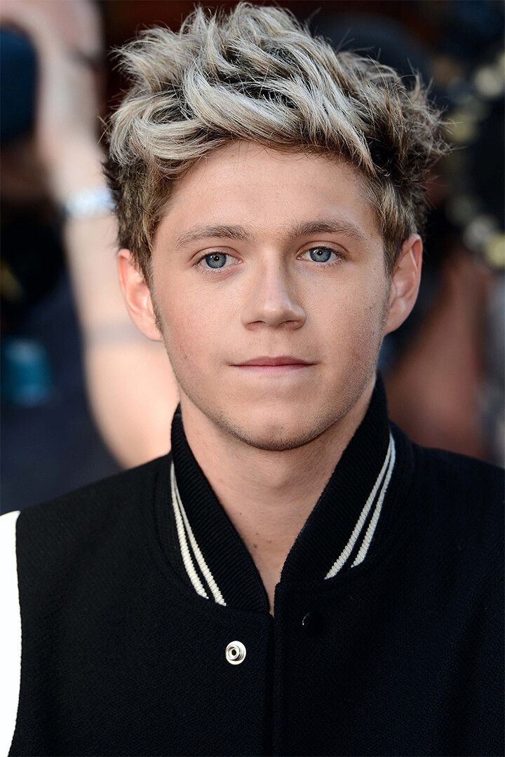 Niall Horan Celebrity Singer Music Album Jigsaw Puzzle